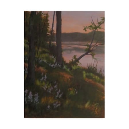 Rusty Frentner 'Lupines' Canvas Art,14x19